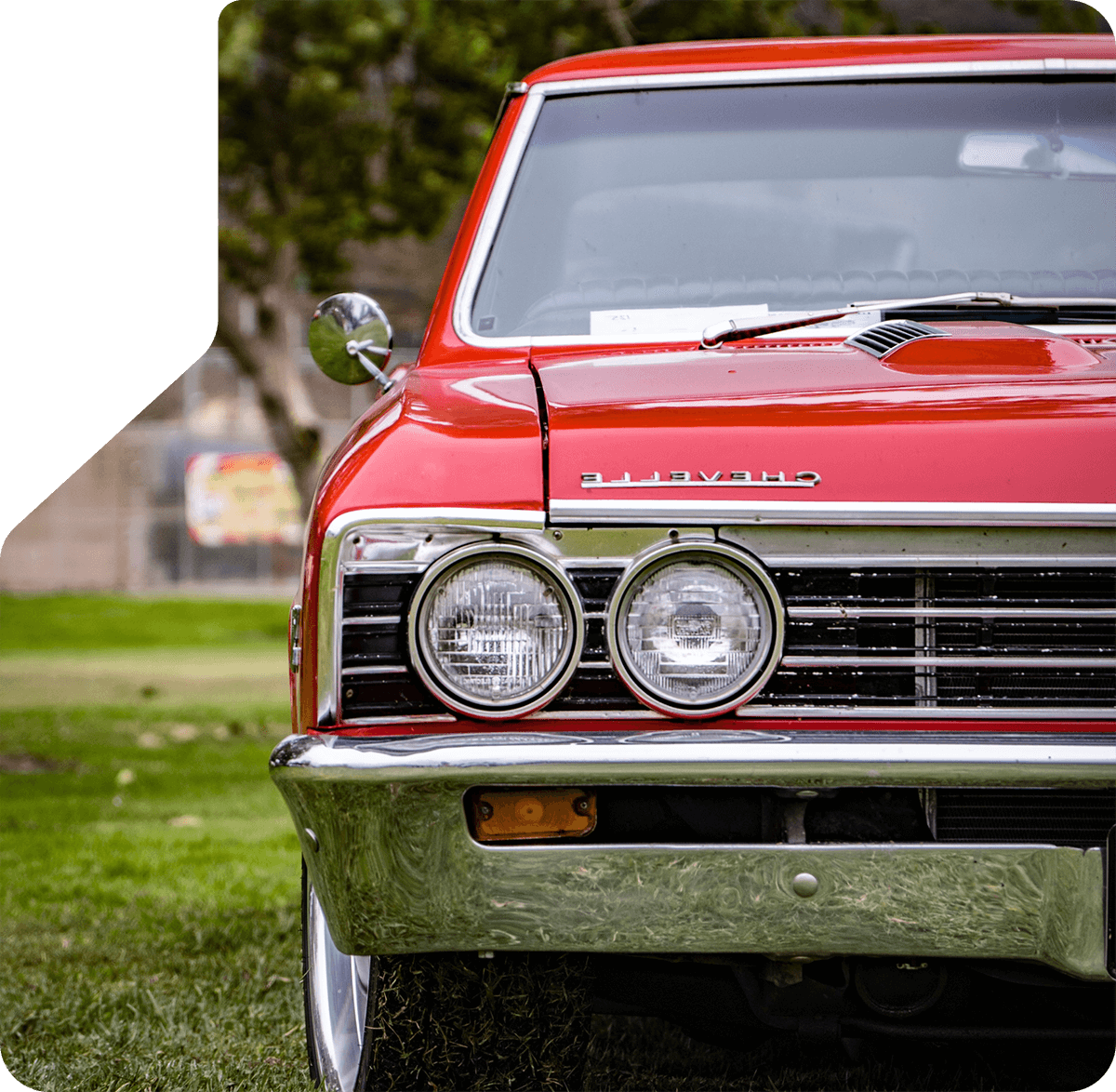 What Kind Of Cars Do We Buy?